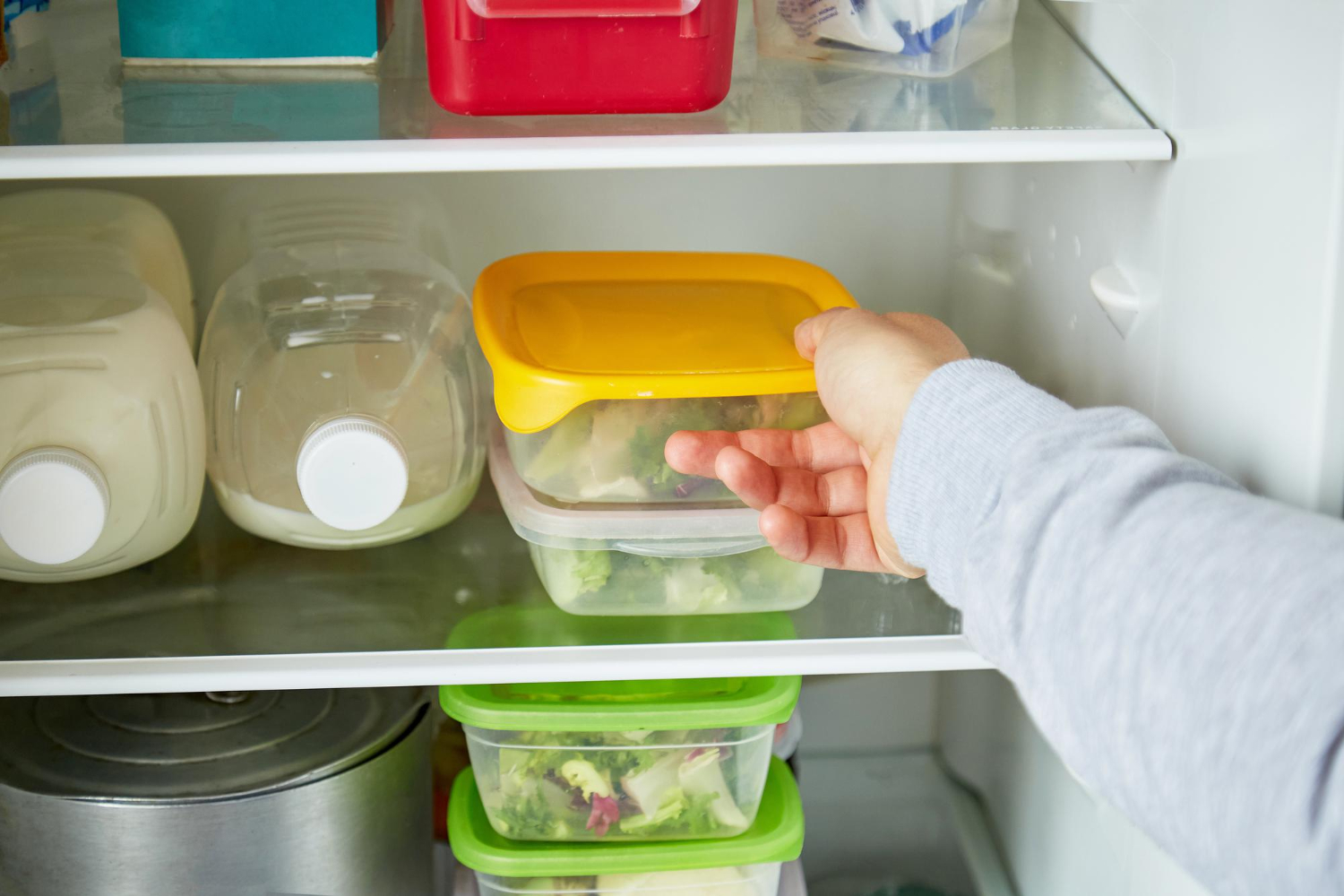Como conservar cheiro verde na geladeira sem congelar e durar por muito mais tempo
