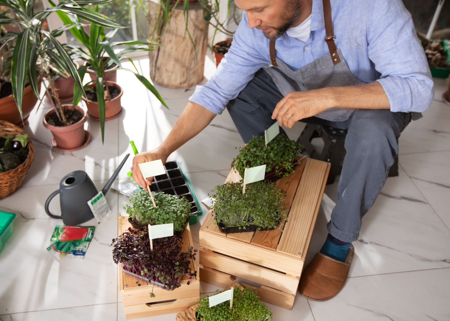 Aprenda a montar sua horta em vaso, mesmo em apartamento, e tenha ingredientes frescos