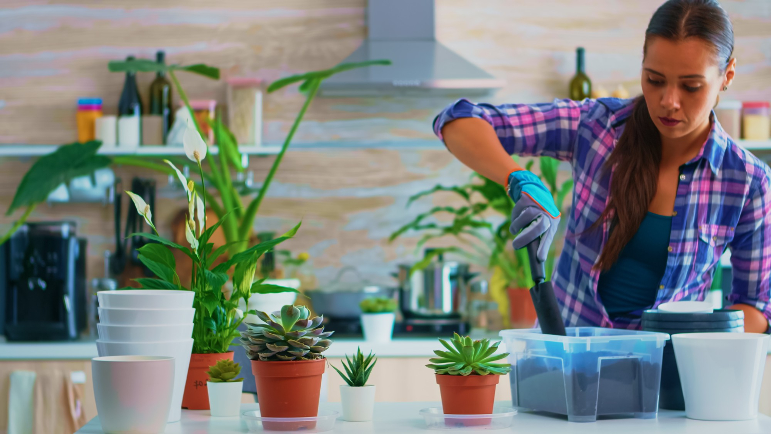 Dicas inteligentes para começar a cultivar suas próprias plantas em casa
