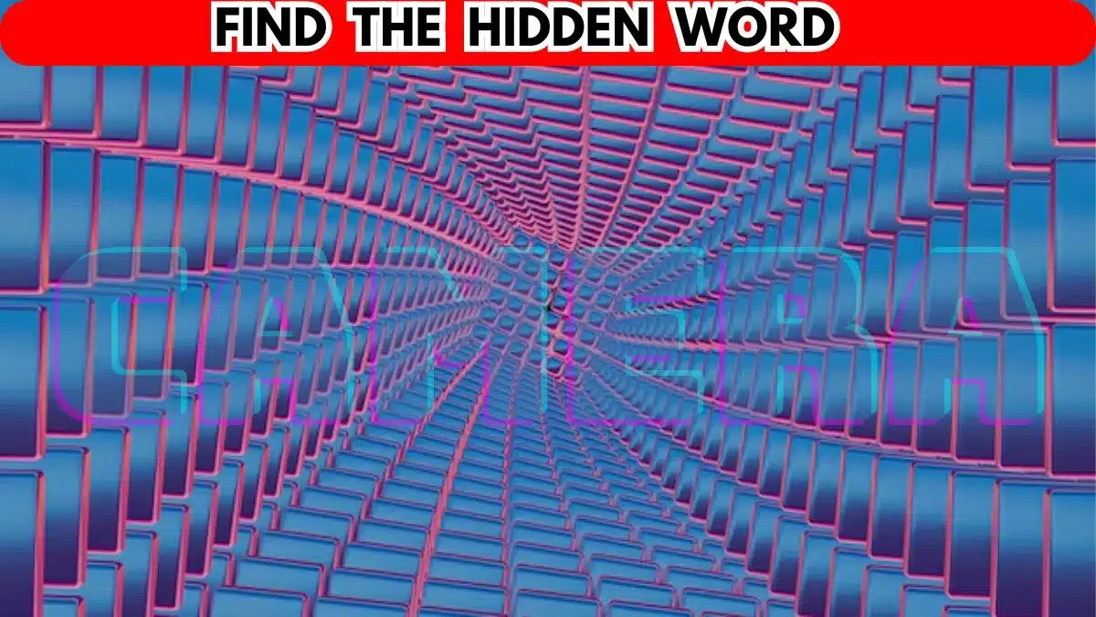 Ilusão de ótica: encontre a palavra escondida em 10 segundos