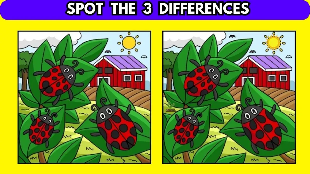 Ilusão de ótica: você consegue encontrar 3 diferenças em 10 segundos?